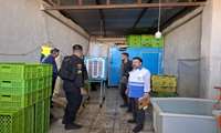 ️شناسایی و پلمب کارگاه غیر مجاز و غیر بهداشتی سبزی خردکنی در شهرستان قدس
